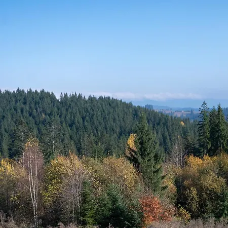 Hotel Kisva Yablunytsya